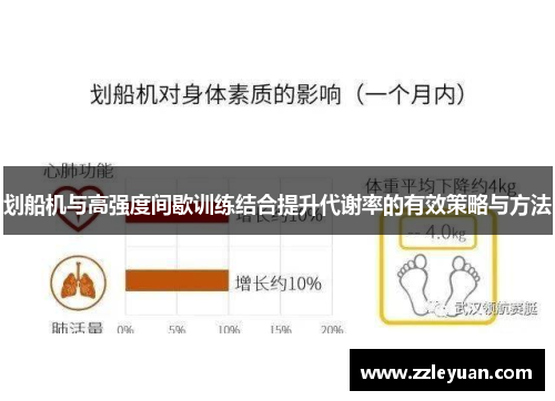 划船机与高强度间歇训练结合提升代谢率的有效策略与方法