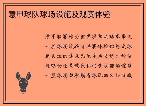 意甲球队球场设施及观赛体验