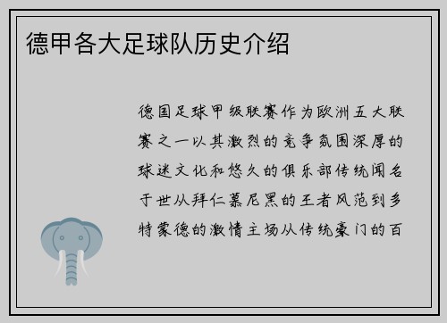 德甲各大足球队历史介绍