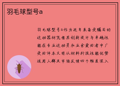 羽毛球型号a