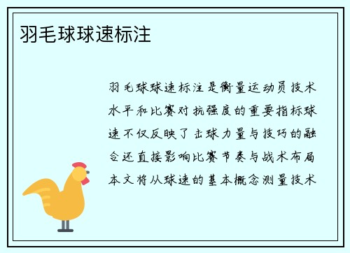 羽毛球球速标注